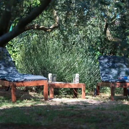 Medulinka By Interhome * Pula